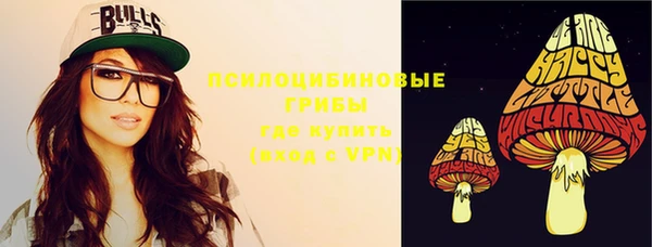 кокс Арсеньев