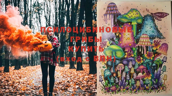 кокс Арсеньев