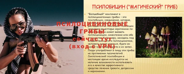 стафф Армянск