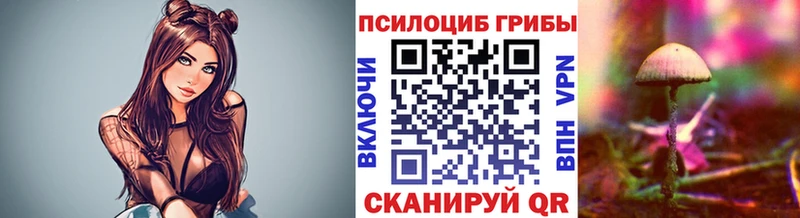 даркнет сайт  OMG зеркало  Псилоцибиновые грибы мухоморы  Красный Холм 